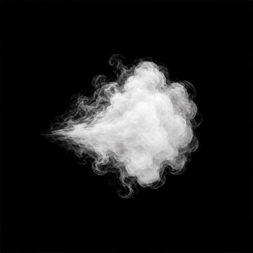 Bullfart Coin logo — toxic green smoke plume